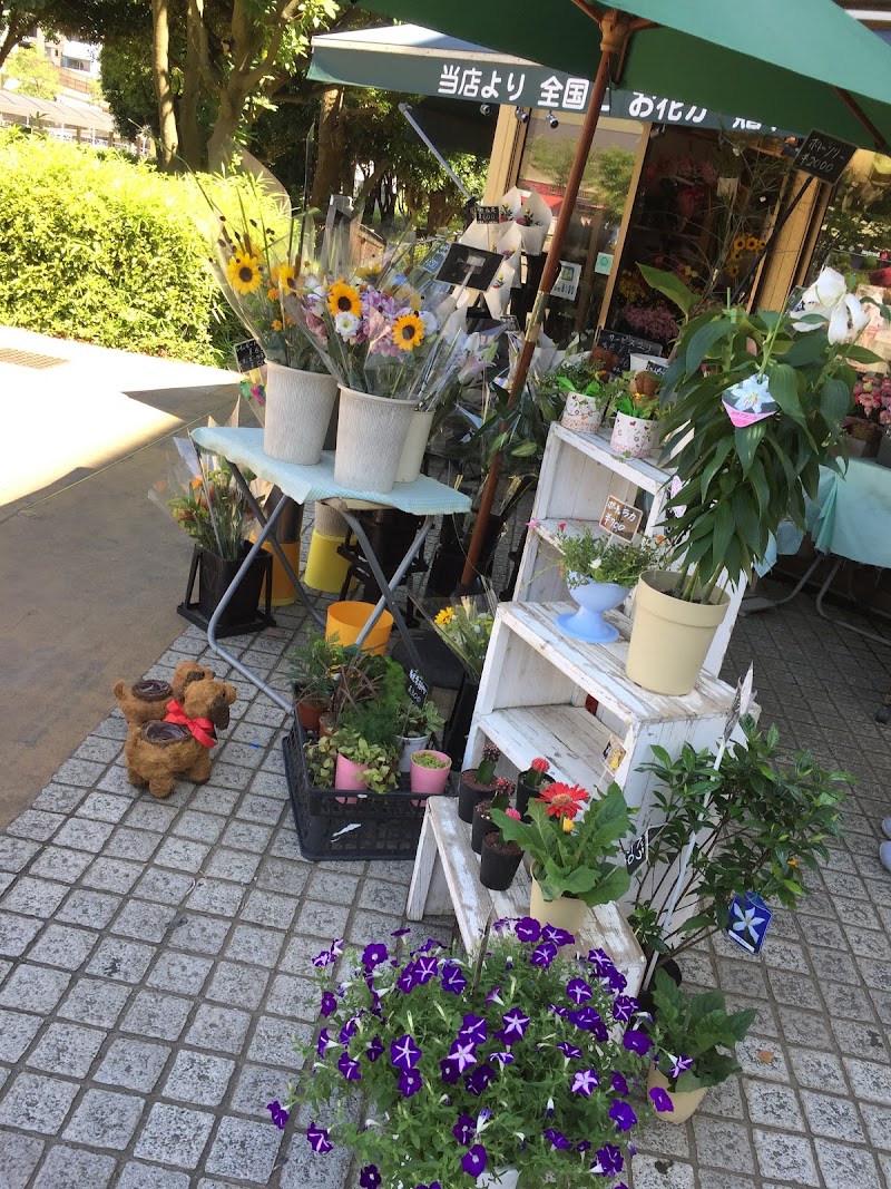 フルール ボア 千葉県千葉市美浜区真砂 花屋 花 グルコミ