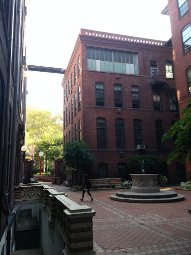 Private University «Pratt Institute», reviews and photos