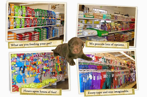 Zamzows Fairview Location