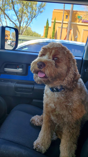 Shopping Mall «The Bluffs Shopping Center», reviews and photos, 1302 - 1380 Bison Ave, Newport Beach, CA 92660, USA