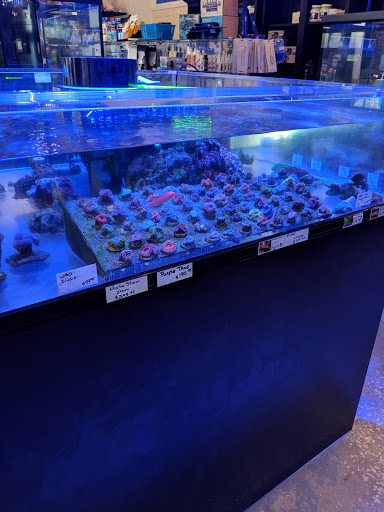 Pet Store «Mandarin SeaLife», reviews and photos, 9633 Old St Augustine Rd #2, Jacksonville, FL 32257, USA
