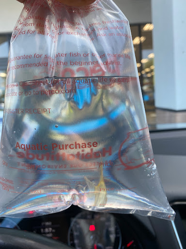 Pet Supply Store «Petco Animal Supplies», reviews and photos, 2500 Imperial Hwy #114, Brea, CA 92821, USA