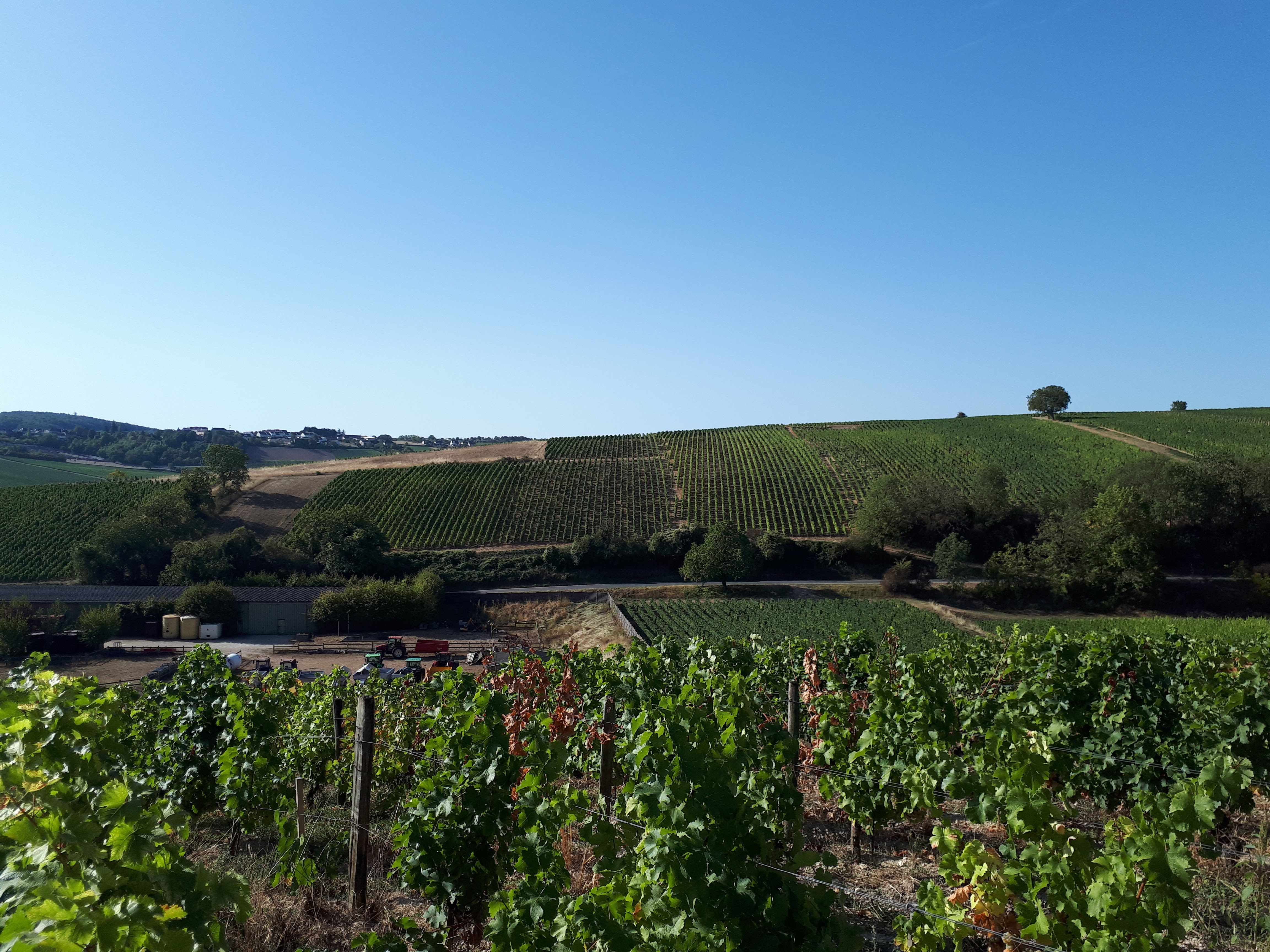 Photo n° 3 de l'avis de Lacsap.5 fait le 19/09/2019 à 05:50