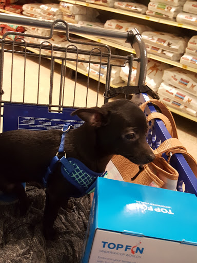 Pet Supply Store «PetSmart», reviews and photos, 849 E 23rd St, Panama City, FL 32405, USA