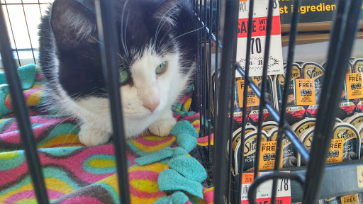 Pet Supply Store «Pet Supplies Plus», reviews and photos, 12579 Felch St, Holland, MI 49424, USA