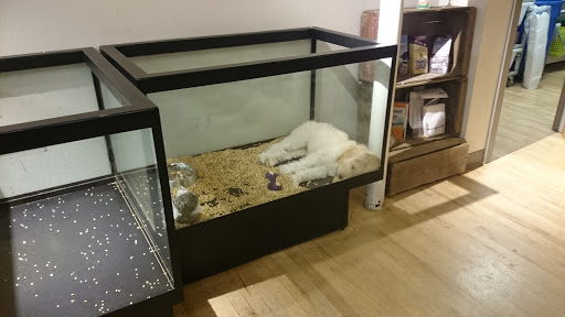 Pet Store «Critter Cabana», reviews and photos, 516 E 1st St, Newberg, OR 97132, USA