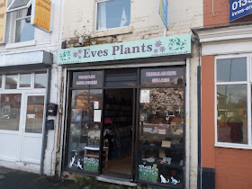 Eves Plants