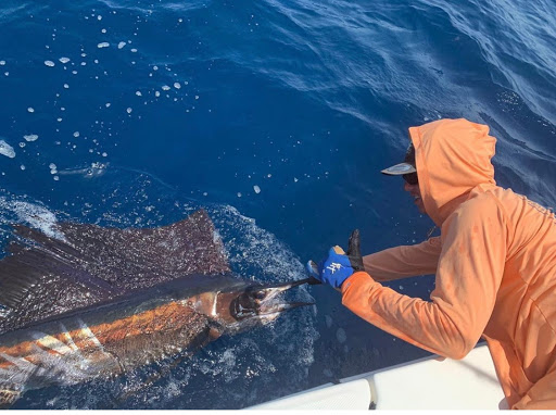 Explore hellraiser tattoo ideas, creative tattoo ideas in South Padre Island, available at Peggys Temporary & Permanent Tattoos