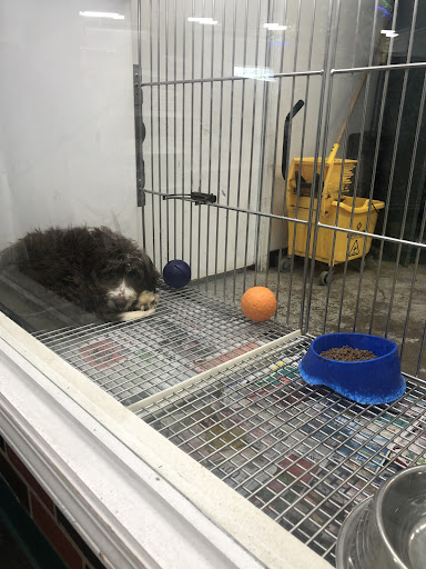 Pet Store «Most Valuable Pets», reviews and photos, 921 Beaumont Centre Pkwy #100, Lexington, KY 40513, USA