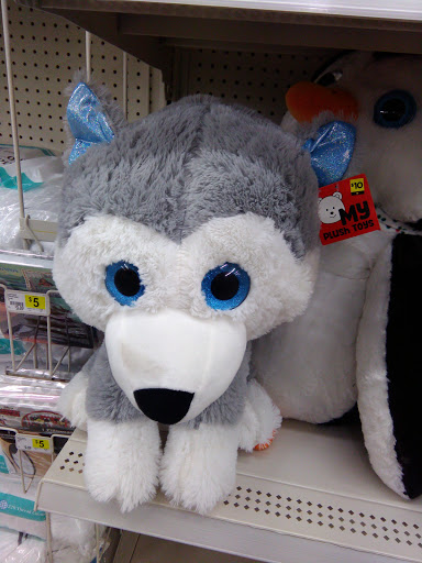 Home Goods Store «Dollar General», reviews and photos, 600 N Highland St, Williamsburg, IA 52361, USA