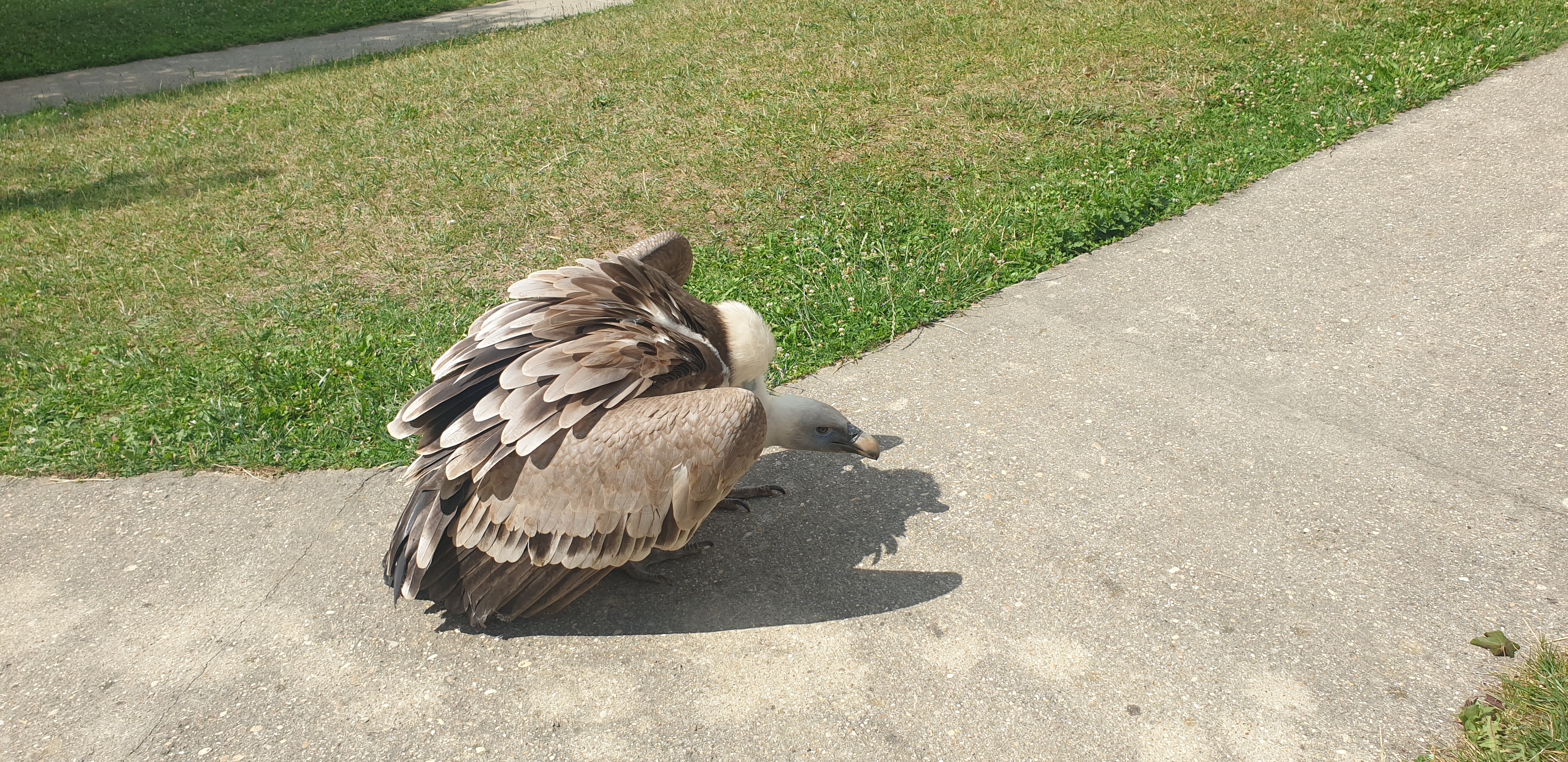 Photo n° 5 de l'avis de YetJ1402. fait le 16/07/2023 à 15:31
