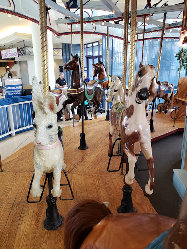 Shopping Mall «Chapel Hill Mall», reviews and photos, 2000 Brittain Rd, Akron, OH 44310, USA