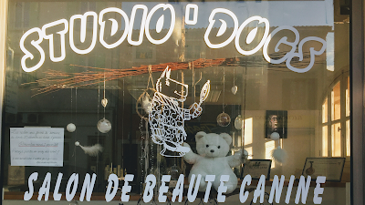 Studio Dogs à La Farlède