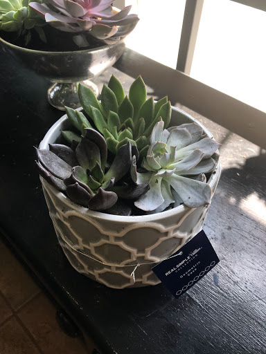 Florist «1-800-Flowers», reviews and photos, 397 Jericho Turnpike, Syosset, NY 11791, USA