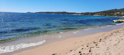Photo de Plage de Péru situé dans une zone naturelle