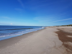 Foto von Skodbjerge Beach mit langer gerader strand