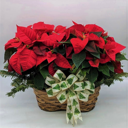 Florist «Windermere Flowers & Gifts», reviews and photos, 5008 Dr