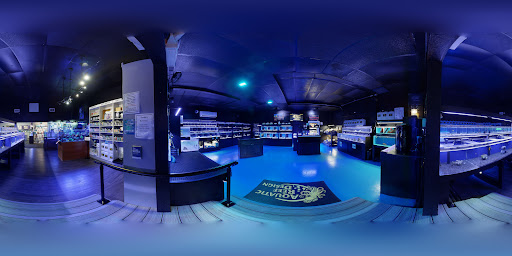 Aquarium «Aquatic Design & Development Group, LLC», reviews and photos, 1725 SW 17th St, Ocala, FL 34471, USA
