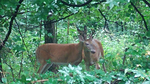 Park «Edison State Park», reviews and photos, 37 Christie St, Edison, NJ 08820, USA