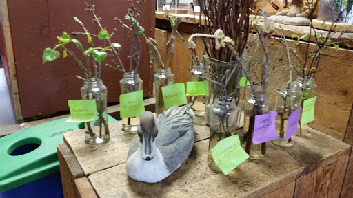 Nature Preserve «Tifft Nature Preserve», reviews and photos, 1200 Fuhrmann Boulevard, Buffalo, NY 14203, USA