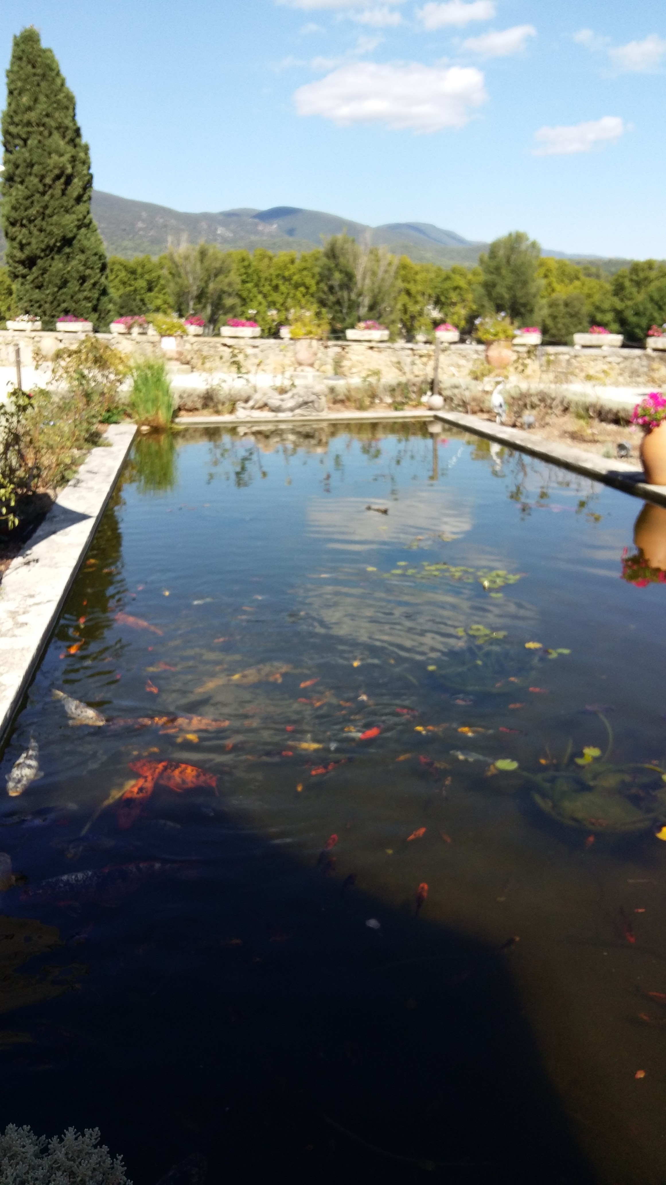 Photo n° 2 de l'avis de Marido.e fait le 07/09/2020 à 17:47