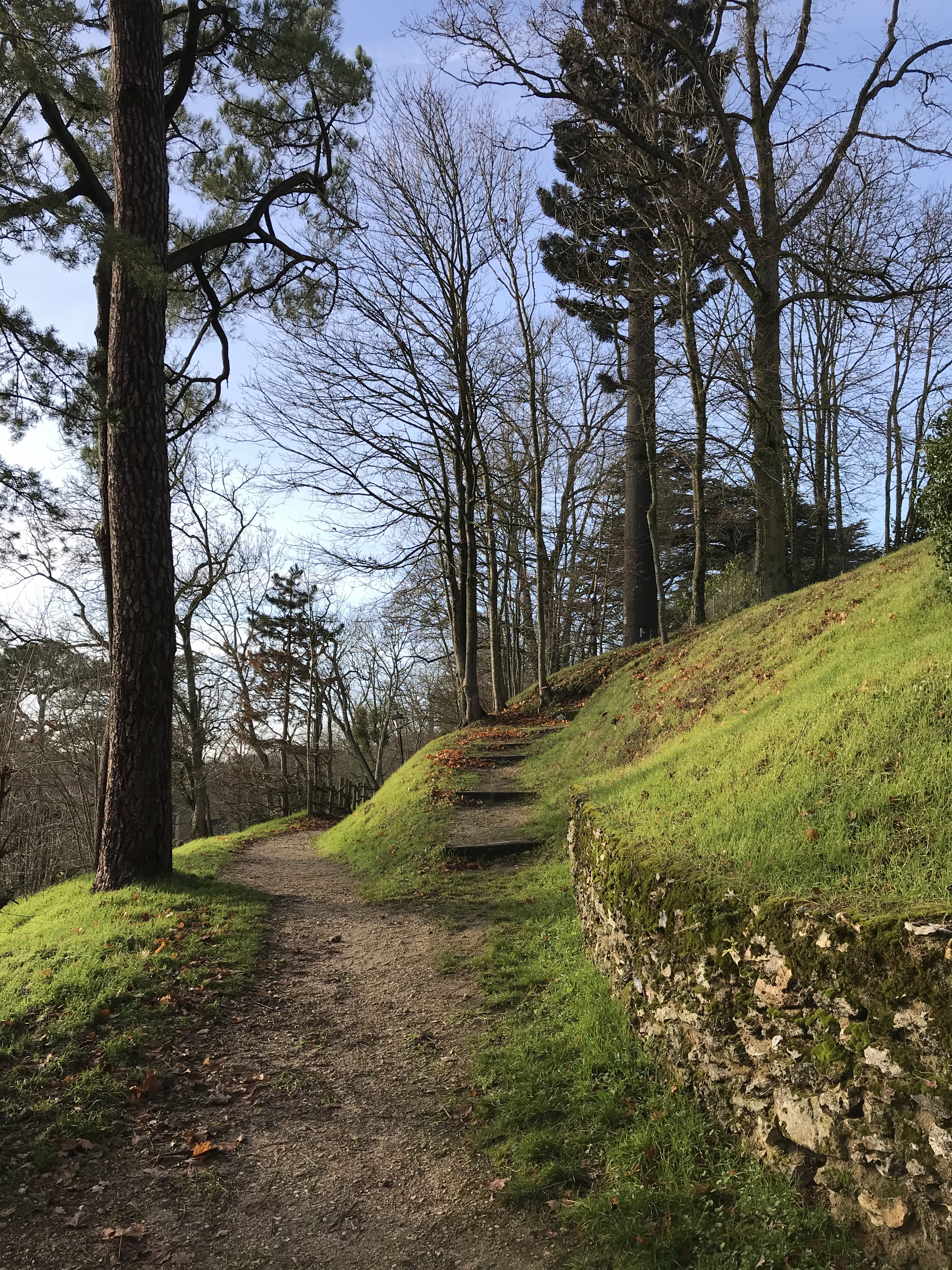 Photo n° 7 de l'avis de Jean-Bernard.A fait le 23/12/2019 à 14:00