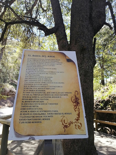 Bosque Encantado Chillán - Restaurante