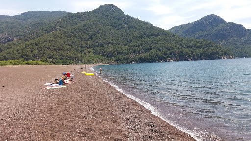 Salkım Camping-Beach