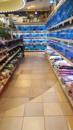 Pet Store «Fish-N-Pets Unlimited», reviews and photos, 11710 Bissonnet St, Houston, TX 77099, USA