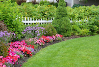 Affordable Landscaping & Tree Service LLC - Photo 4 - Car repair in Hamden, CT, New Haven