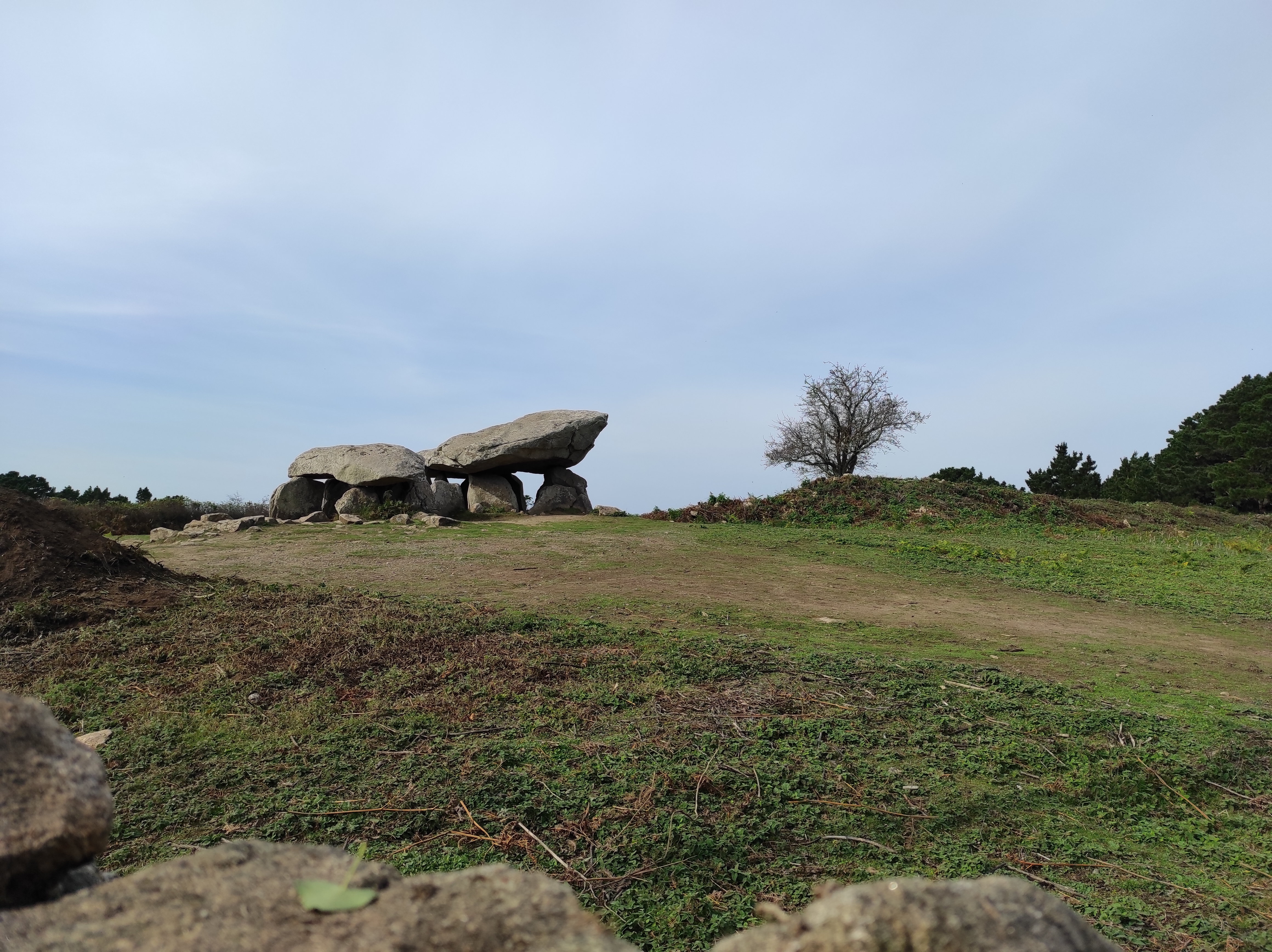 Photo n° 2 de l'avis de MEHDI.o fait le 18/10/2020 à 14:00