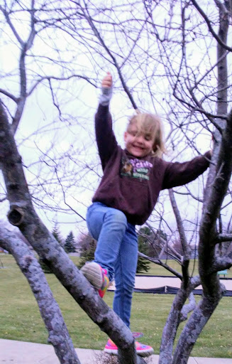 Park «Wildwood Park», reviews and photos, 513 W Joliet Hwy, New Lenox, IL 60451, USA