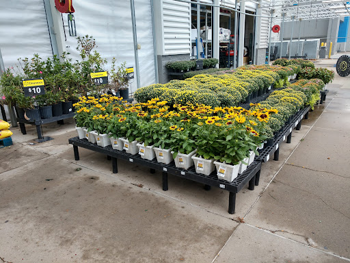 Department Store «Walmart Supercenter», reviews and photos, 1882 Holly St, Blair, NE 68008, USA