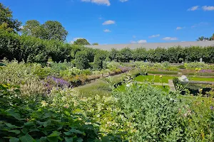 Sunken Garden Pond image