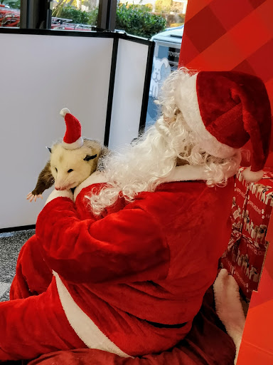 Pet Supply Store «Petco», reviews and photos, 3735 E Castro Valley Blvd, Castro Valley, CA 94552, USA