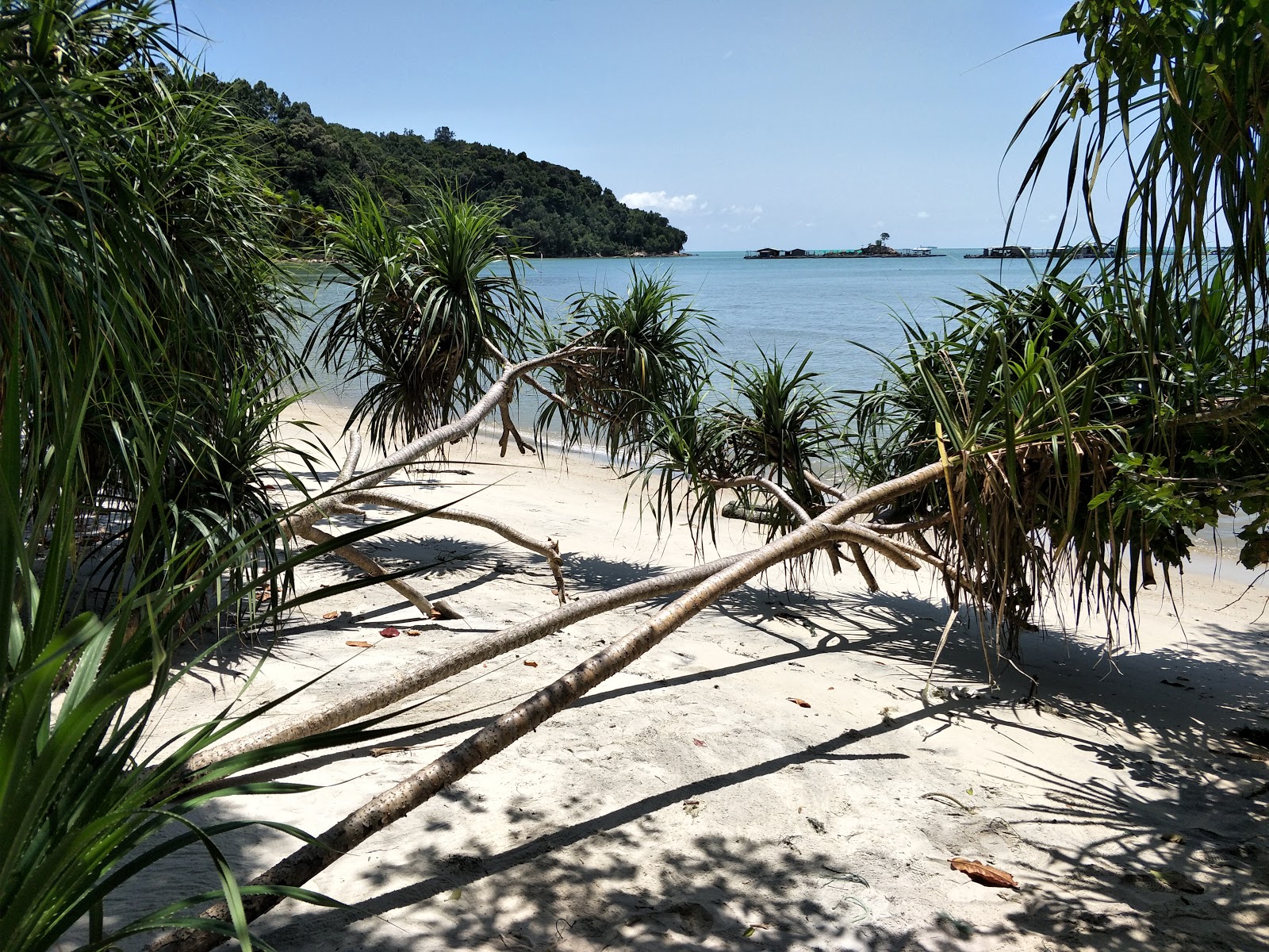 Foto von Adverlabs Beach von Klippen umgeben
