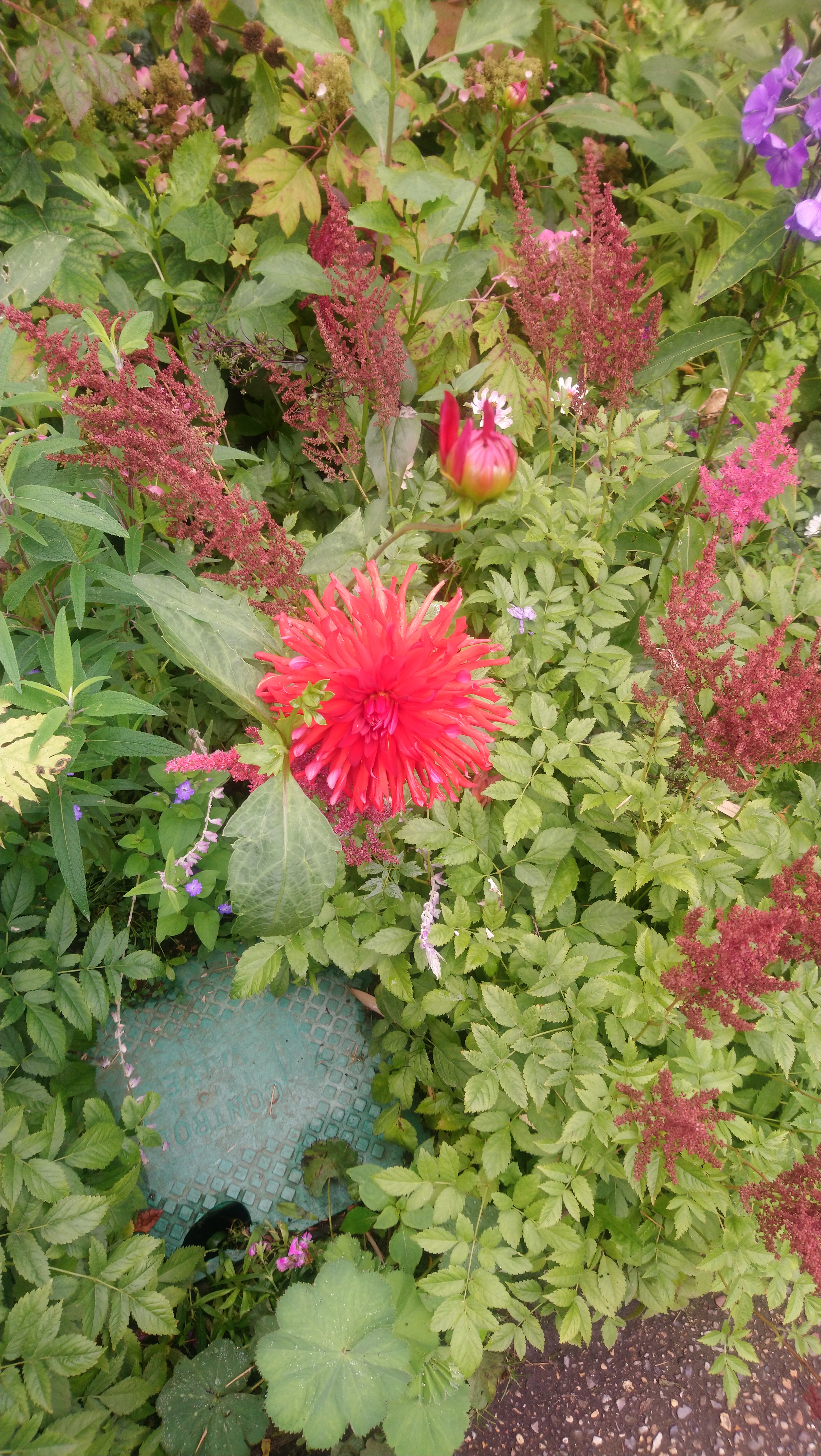 Photo n° 16 de l'avis de Angèle.K fait le 03/08/2020 à 11:24