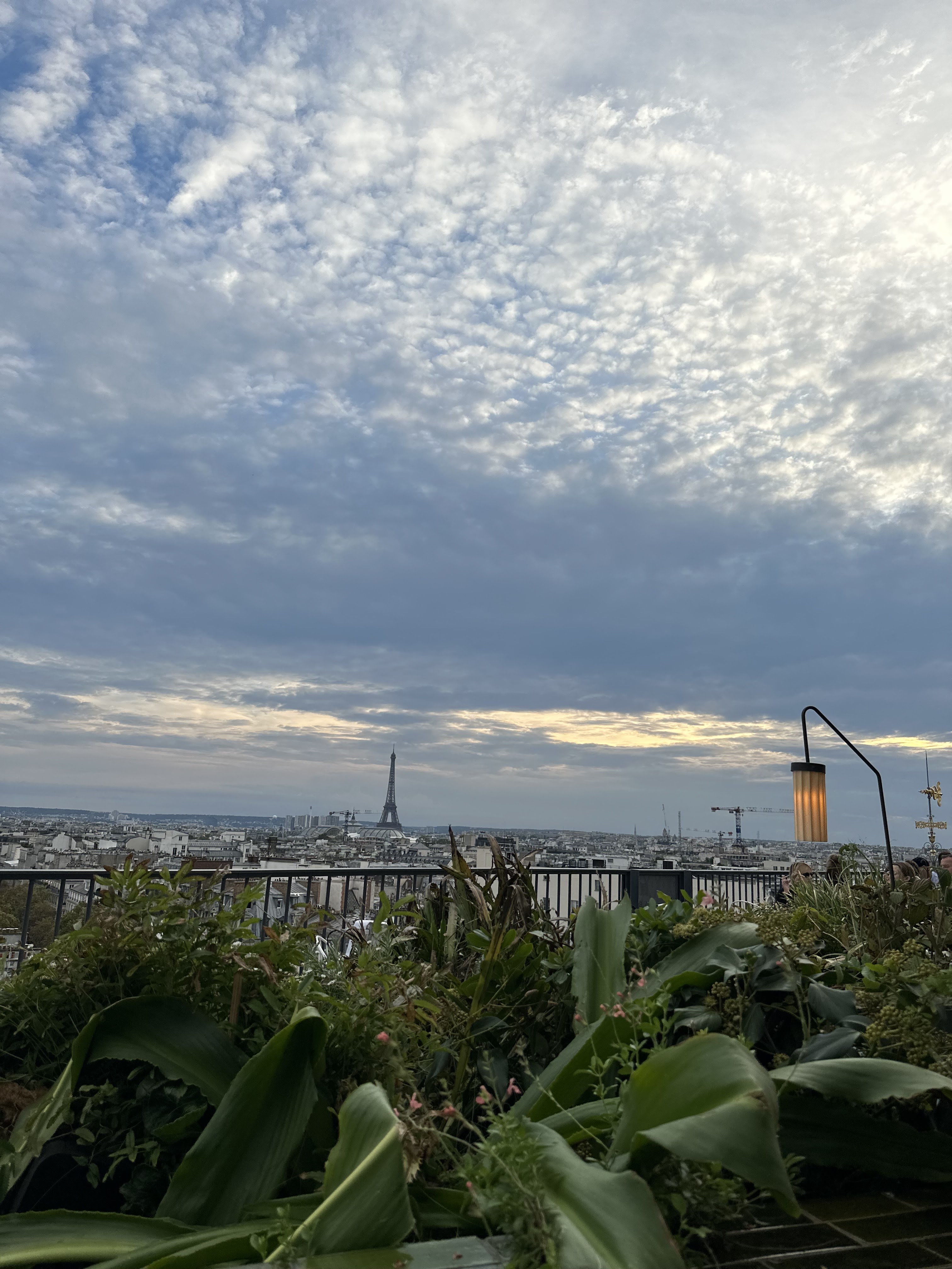 Photo n° 4 de l'avis de samia.a fait le 17/09/2023 à 14:34