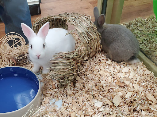 Pet Supply Store «Pet Supermarket», reviews and photos, 265 Tom Hill Sr Blvd, Macon, GA 31210, USA