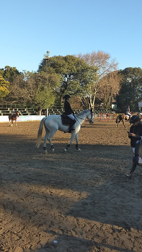 Sitios donde montar a caballo en Buenos Aires