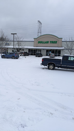 Dollar Store «Dollar Tree», reviews and photos, 301 E Wallace Kneeland Blvd, Shelton, WA 98584, USA