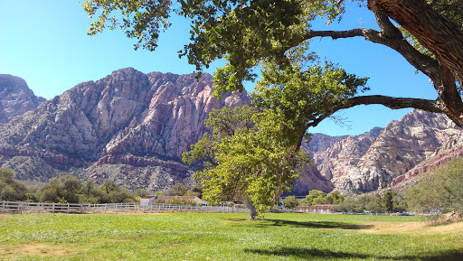 National Reserve «Red Rock Canyon National Conservation Area», reviews and photos, 1000 Scenic Loop Dr, Las Vegas, NV 89161, USA