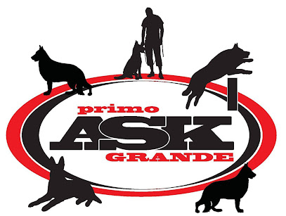 Primo ASK Grande