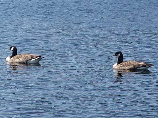 Park «Fairland Recreational Park», reviews and photos, 3928 Greencastle Rd, Burtonsville, MD 20866, USA