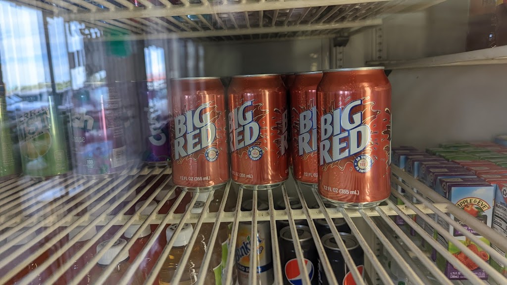 The Burrito Lady 87112