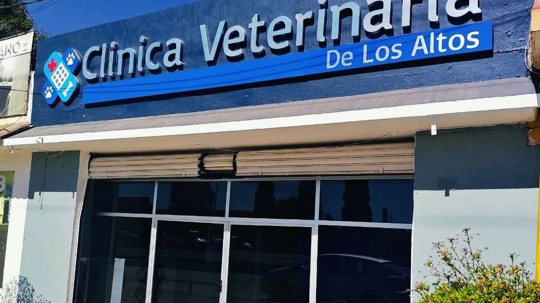 Clínica veterinaria de los Altos