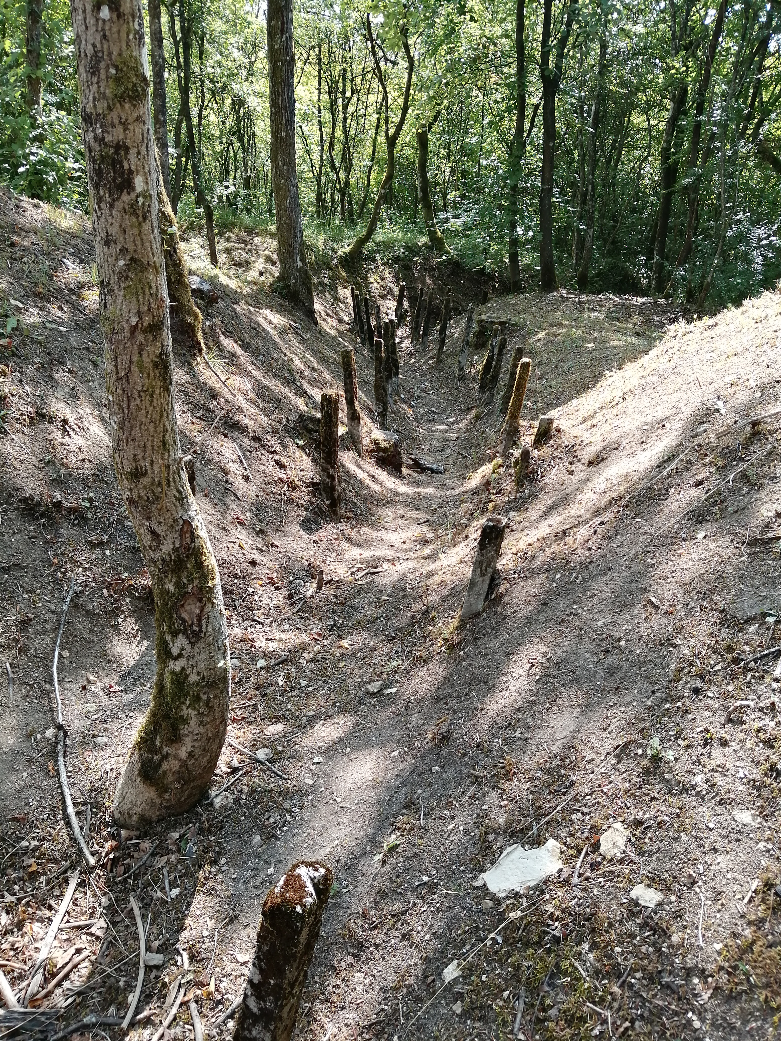 Photo n° 2 de l'avis de Gregoire.a fait le 06/08/2019 à 17:40