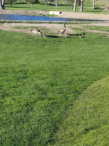 Golf Course «Cherokee Ridge Golf Course», reviews and photos, 1850 Tuskegee Pl, Colorado Springs, CO 80915, USA