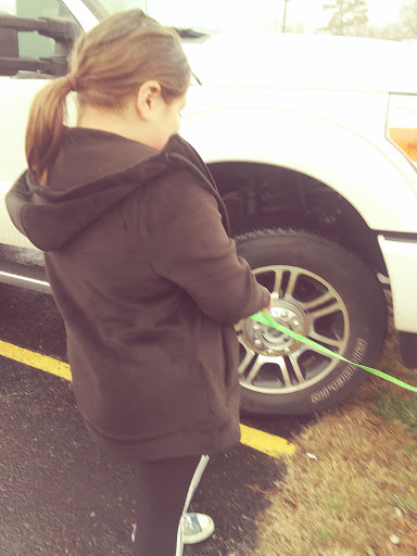 Pet Supply Store «All Pet & Equine Supply», reviews and photos, 1120 Porter Wagoner Blvd, West Plains, MO 65775, USA