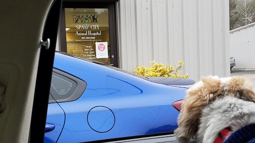 Spaw City Animal Hospital